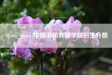 太康中国消防救援学院招生分数