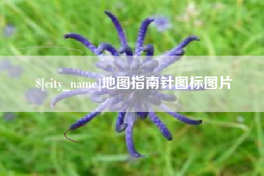 太康地图指南针图标图片