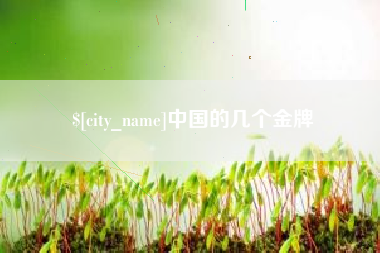 太康中国的几个金牌