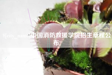 太康中国消防救援学院招生章程公布!