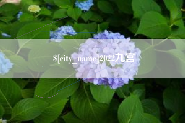 太康2022九宫