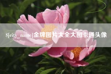太康金牌图片大全大图卡通头像