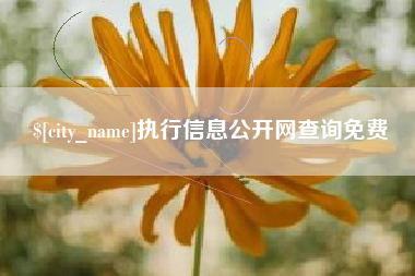 太康执行信息公开网查询免费