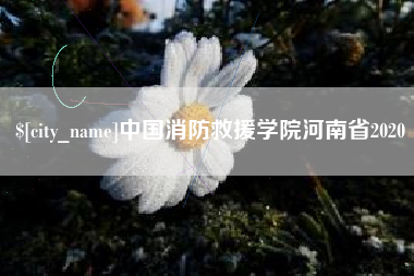 太康中国消防救援学院河南省2020
